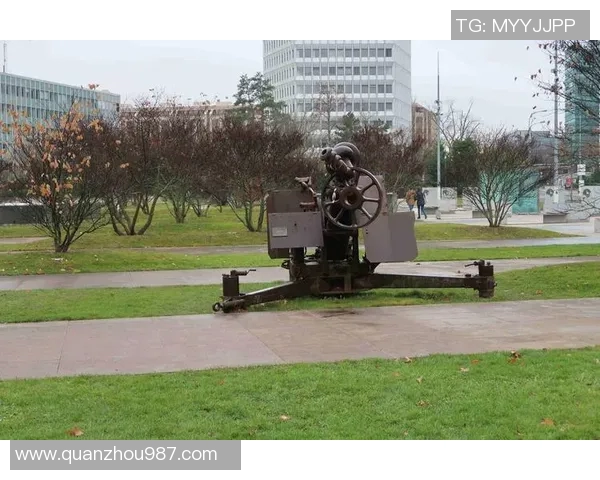 广州网球队运营分析：成功经验与不足之处的深度探讨